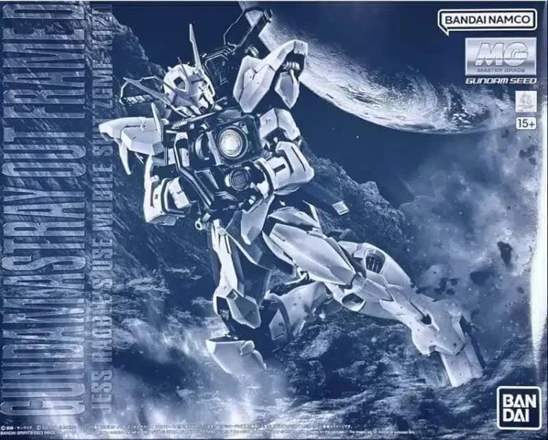 MG 1/100 Gundam Astray Out Frame D