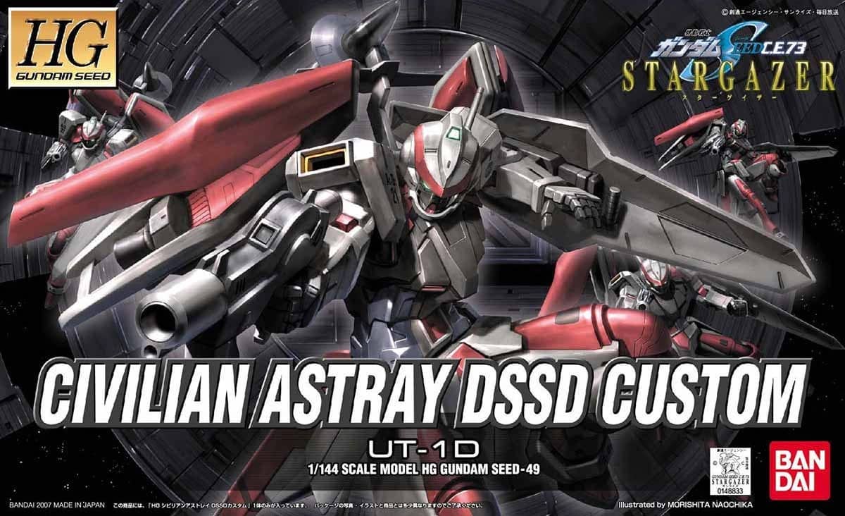 HG 1/144 Civilian Astray DSSD Custom